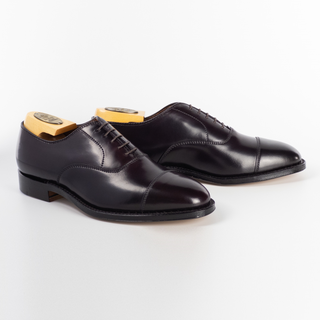 alden 9070 Straight Tip Bal Oxford (Color Shell Cordovan